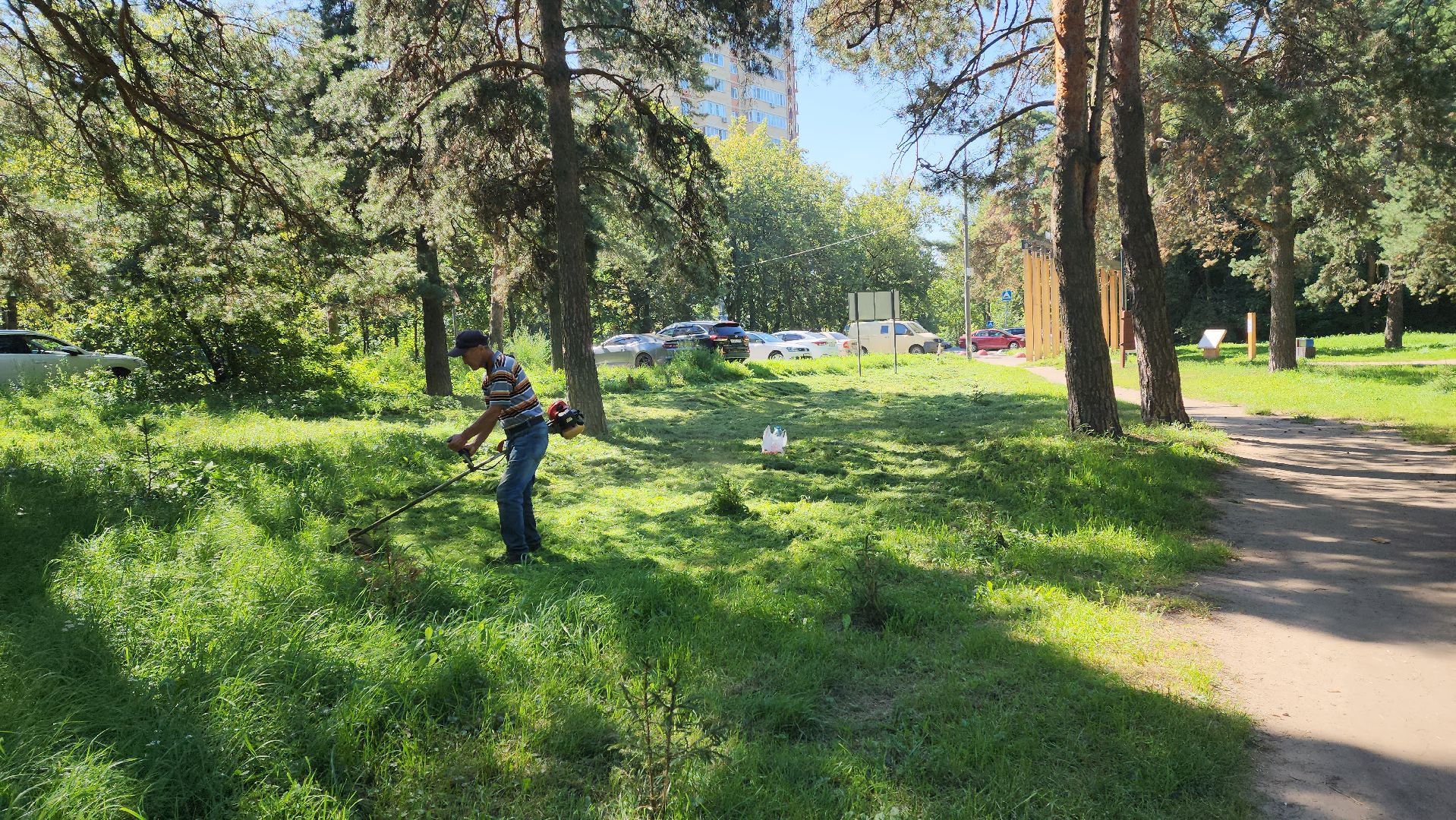 покос
