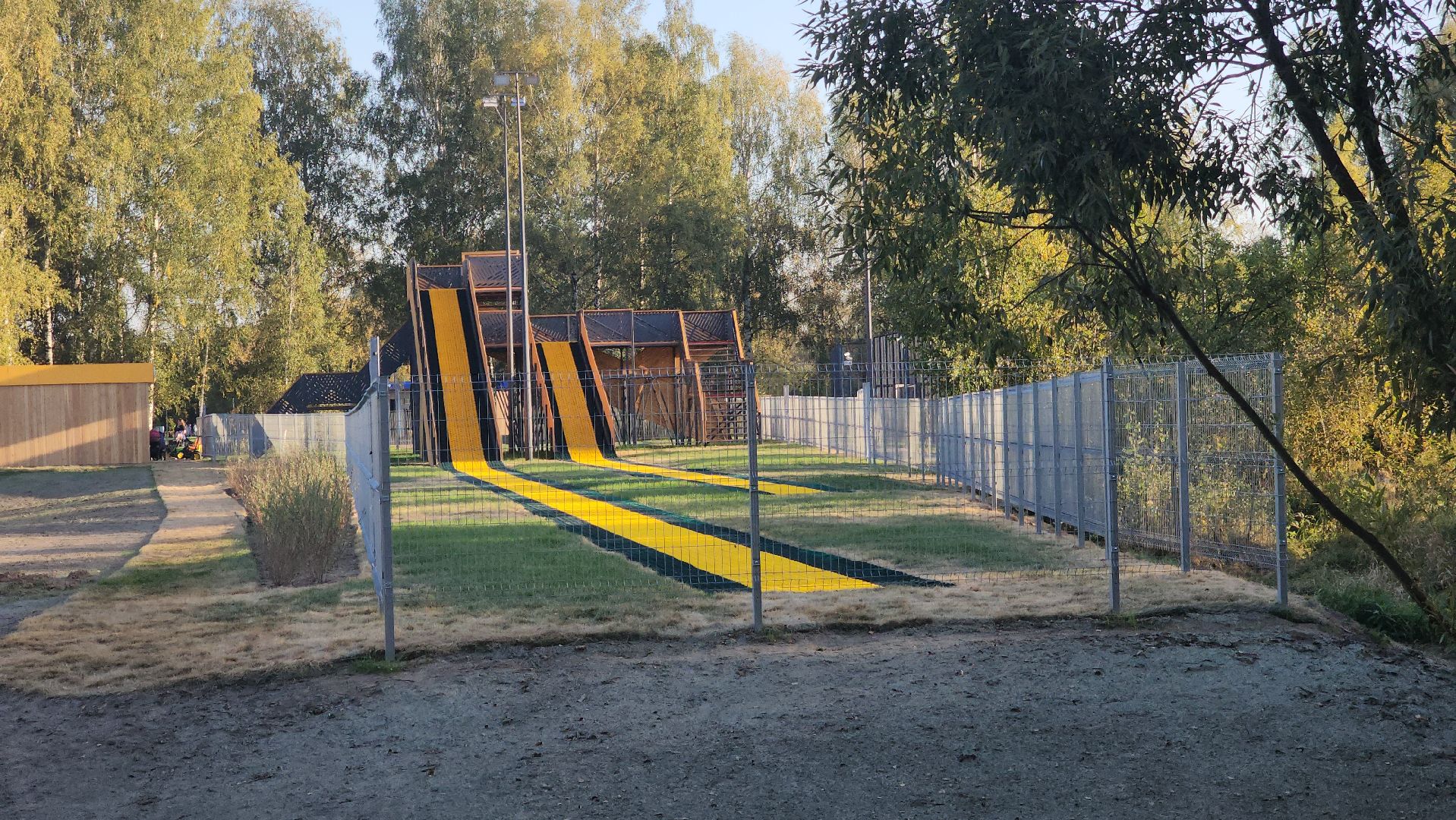 ели