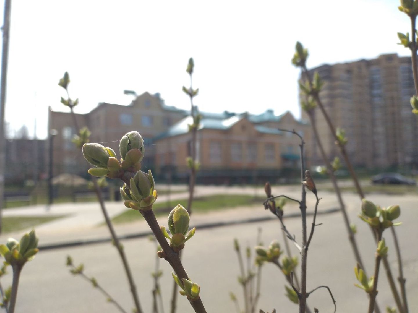 Петров