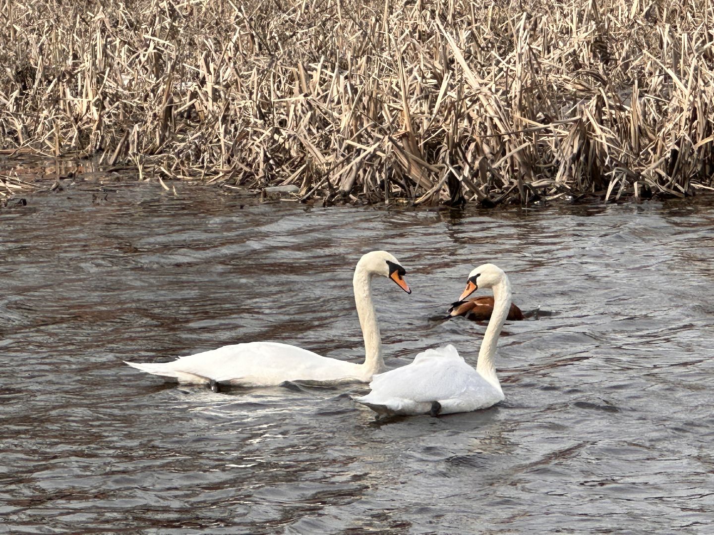 Благоустро