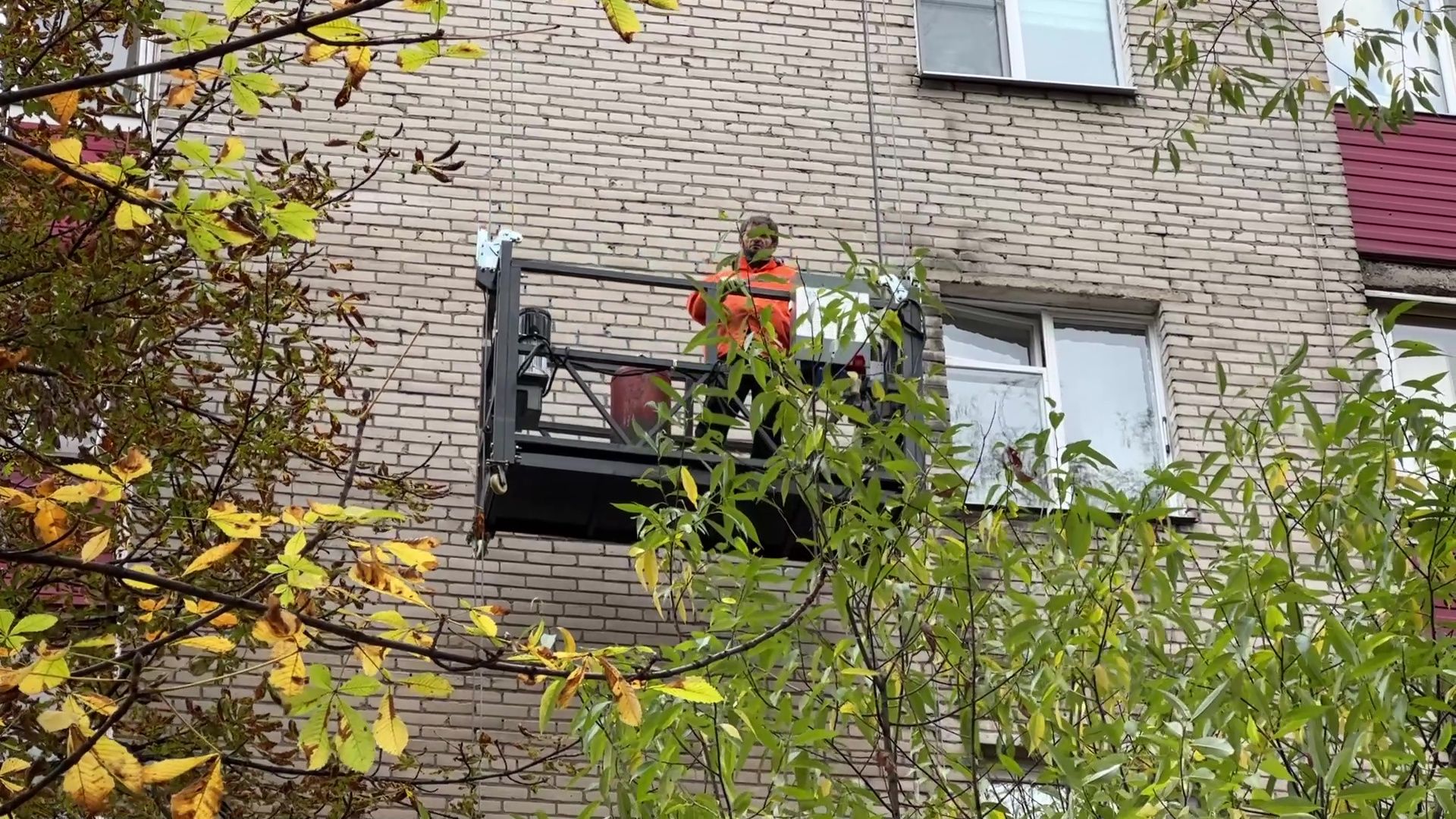 Сад