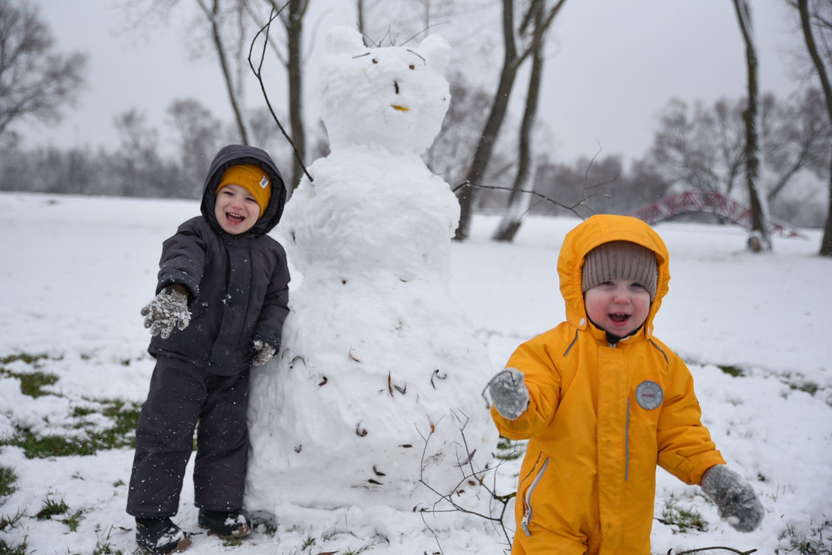 Бронницкий луг