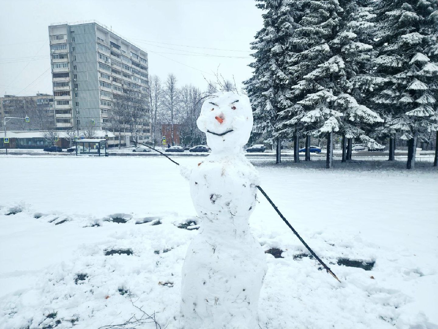 ухо