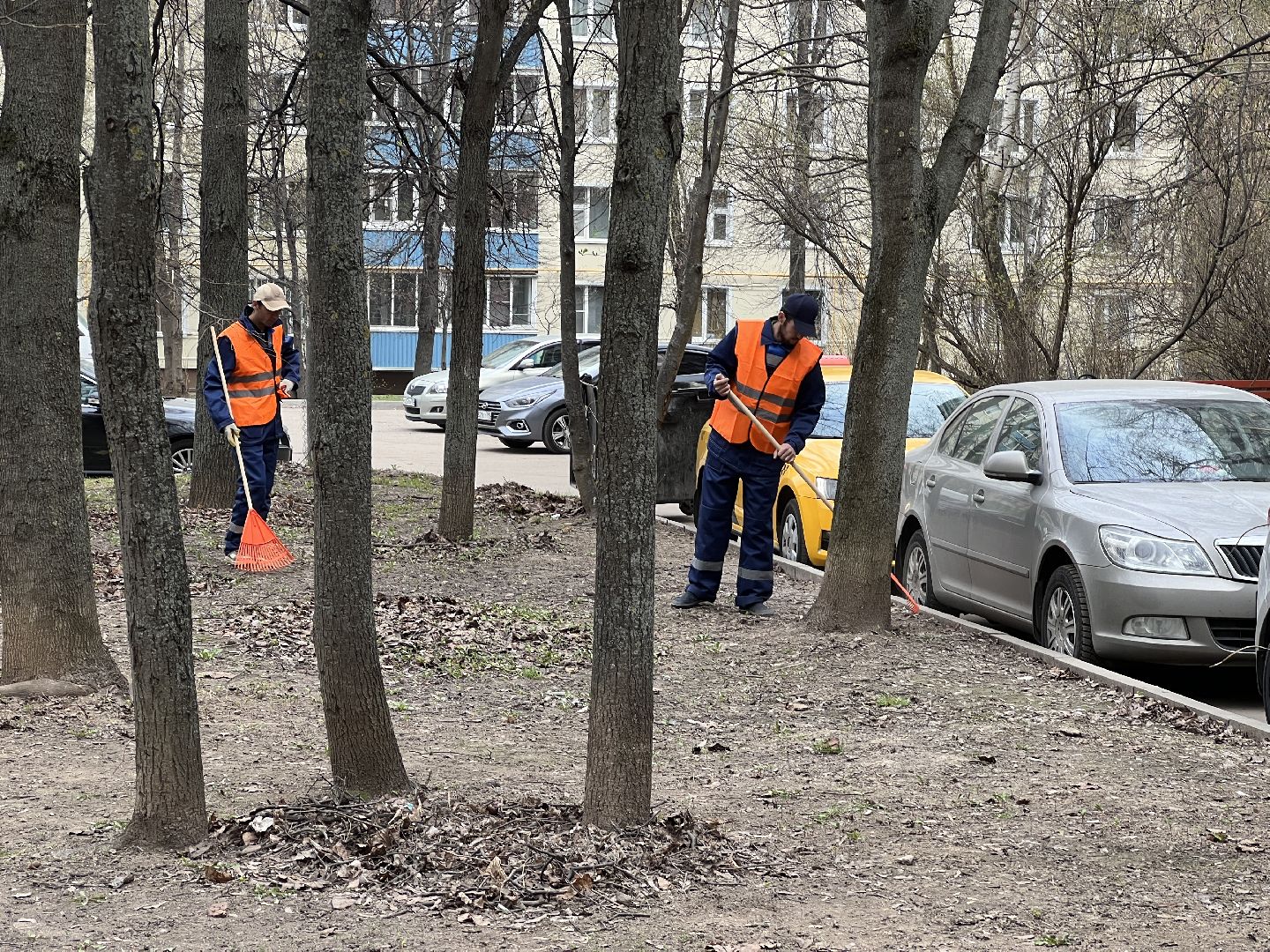 Двор