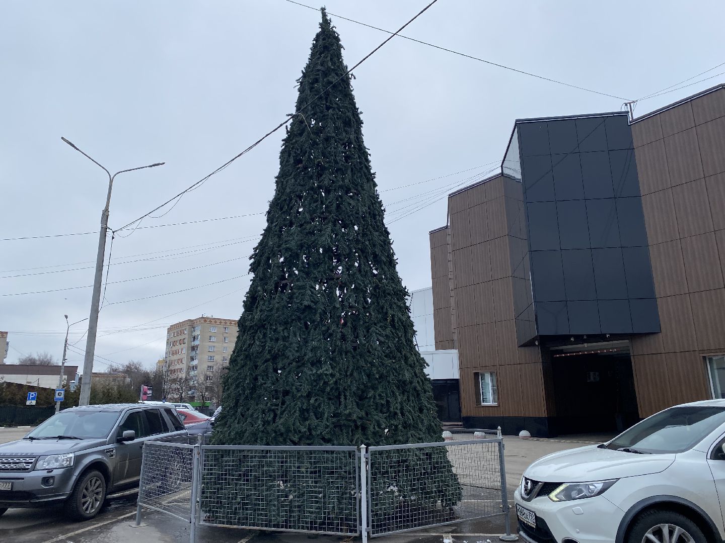 год
