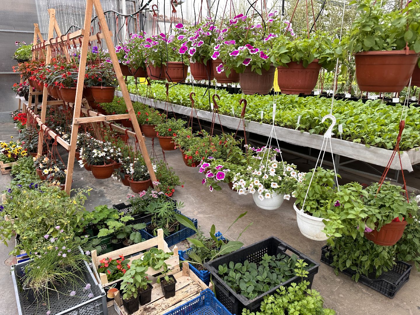 Федеральный научный центр овощеводства