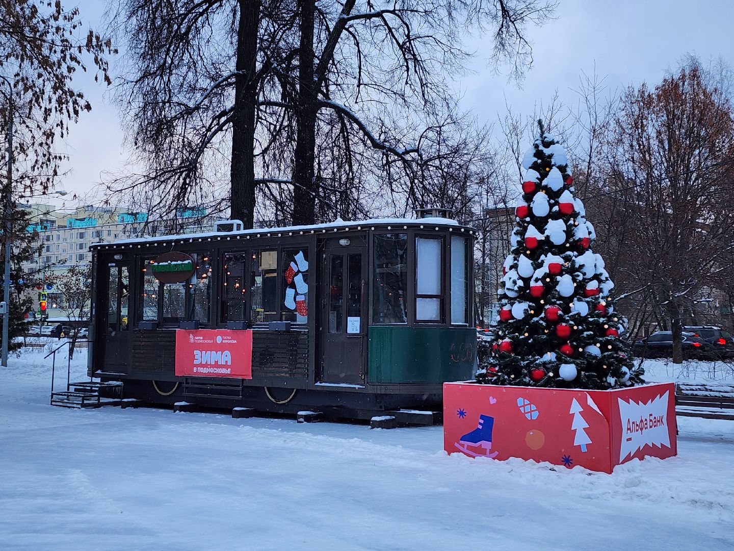 короле