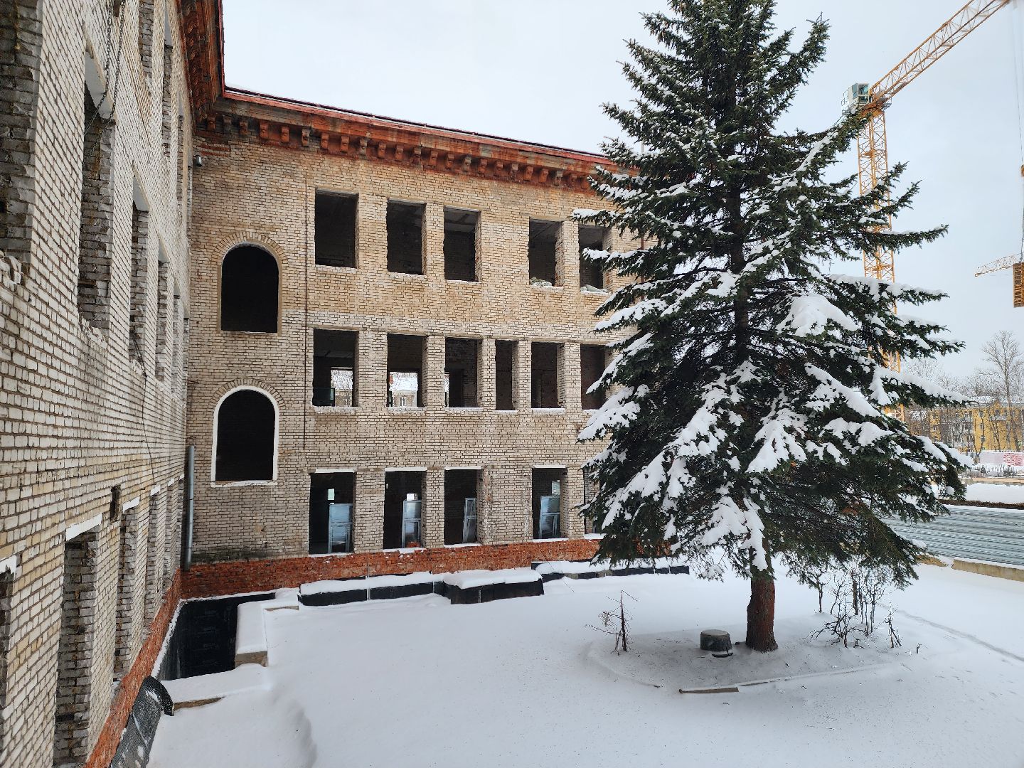 короле