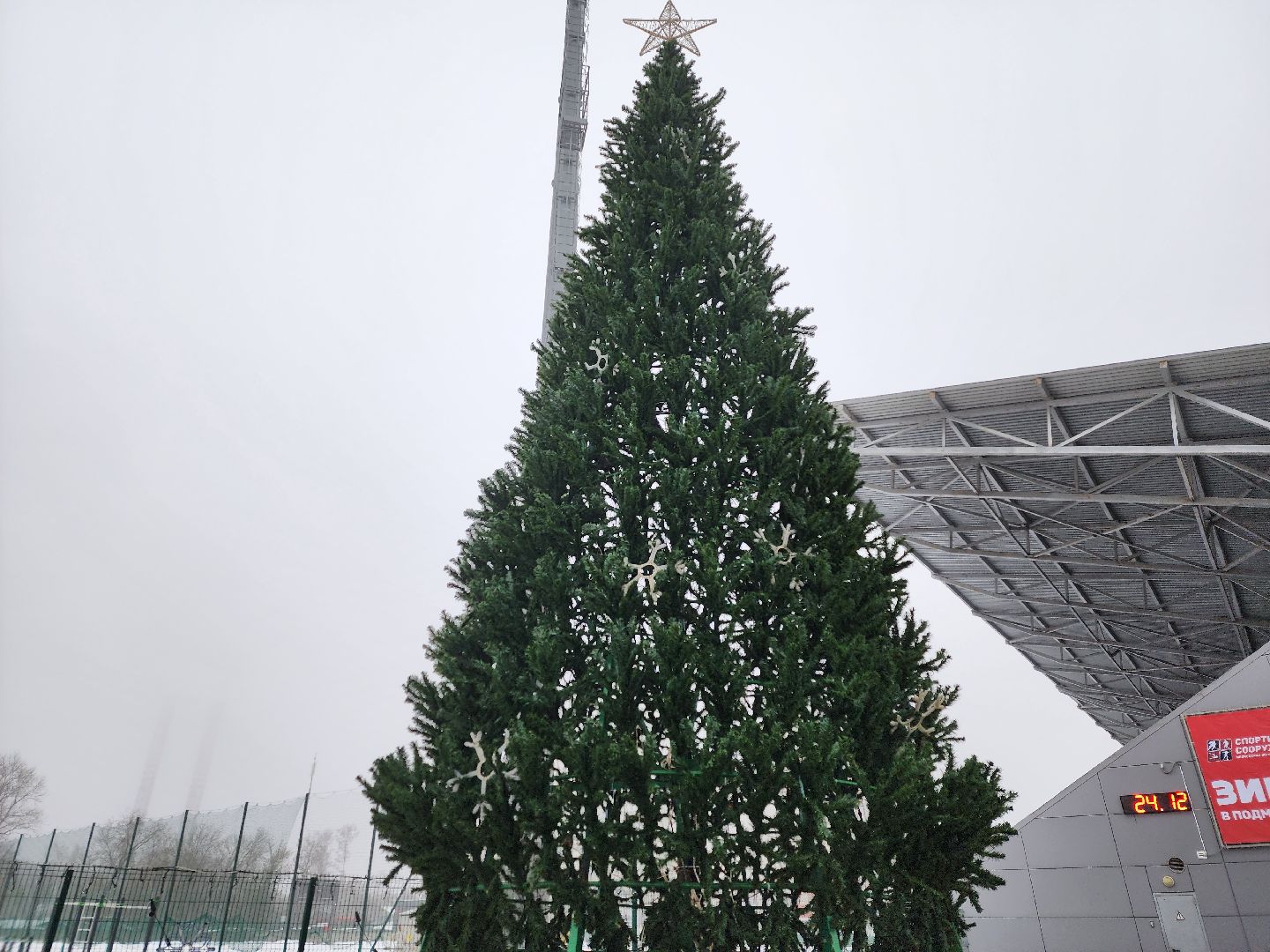 короле