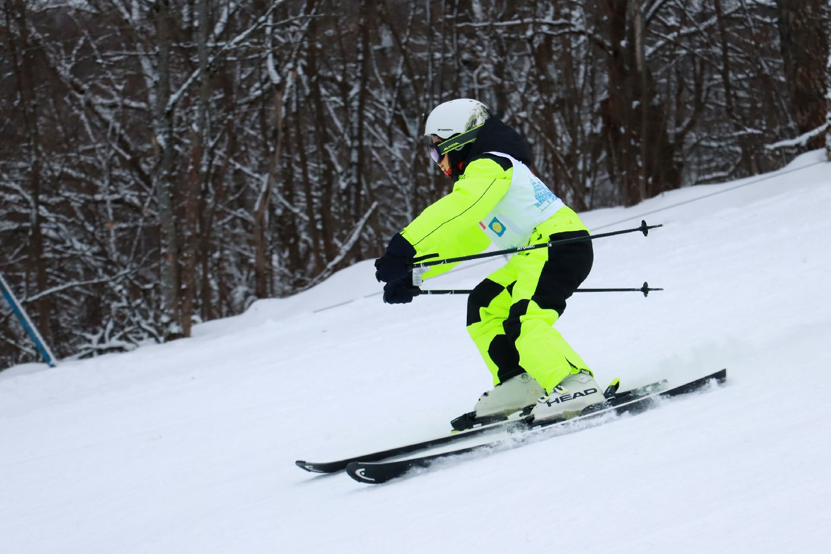 Горные лыжи