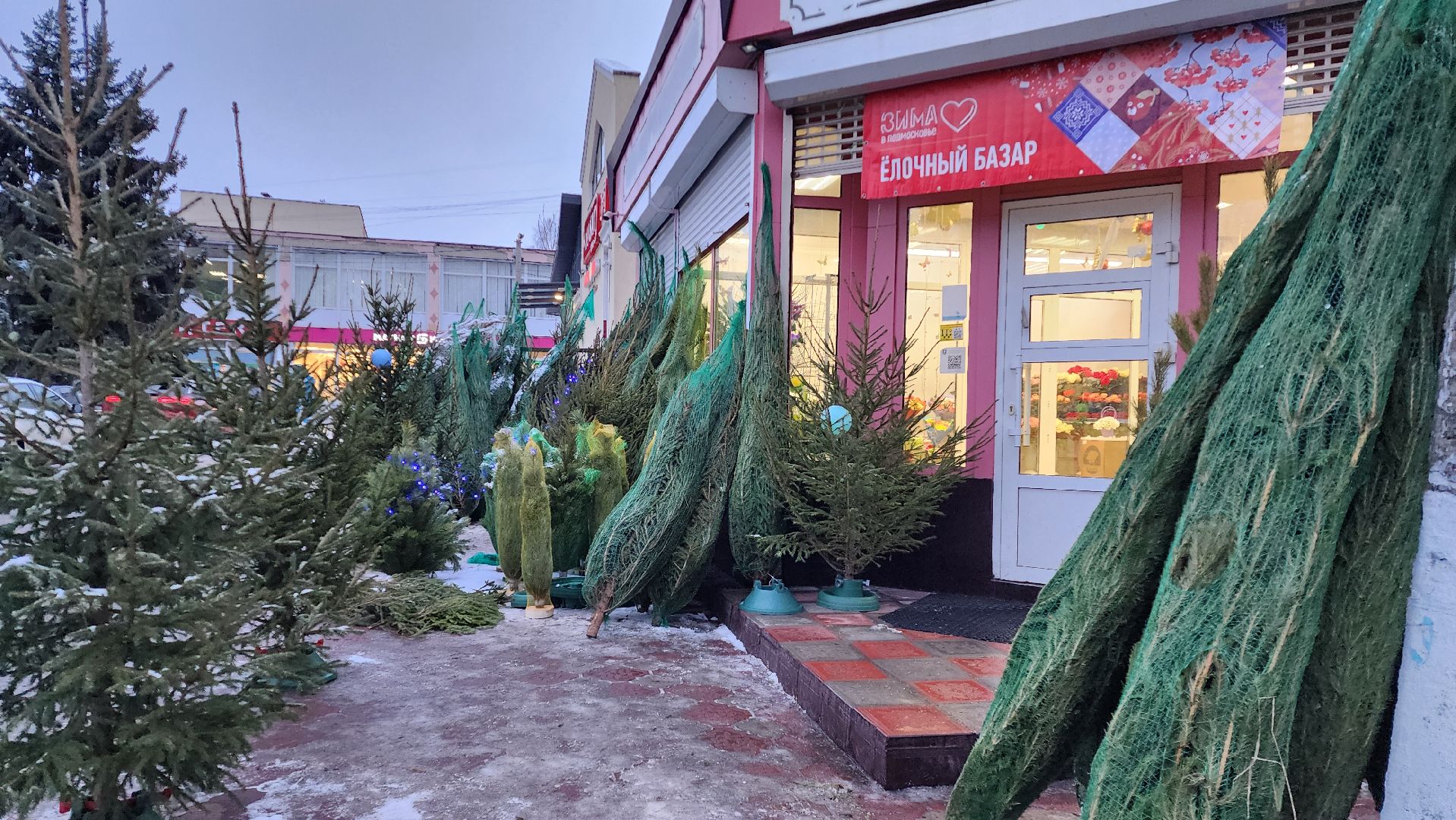 ВЕРТИКАЛКА