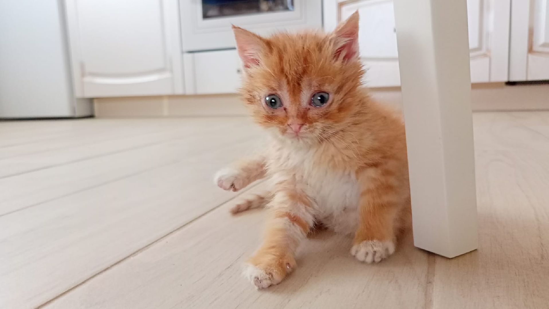 реконструкции