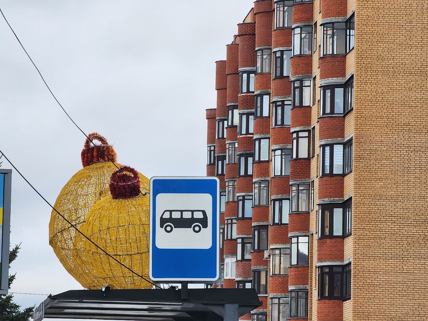 дуб