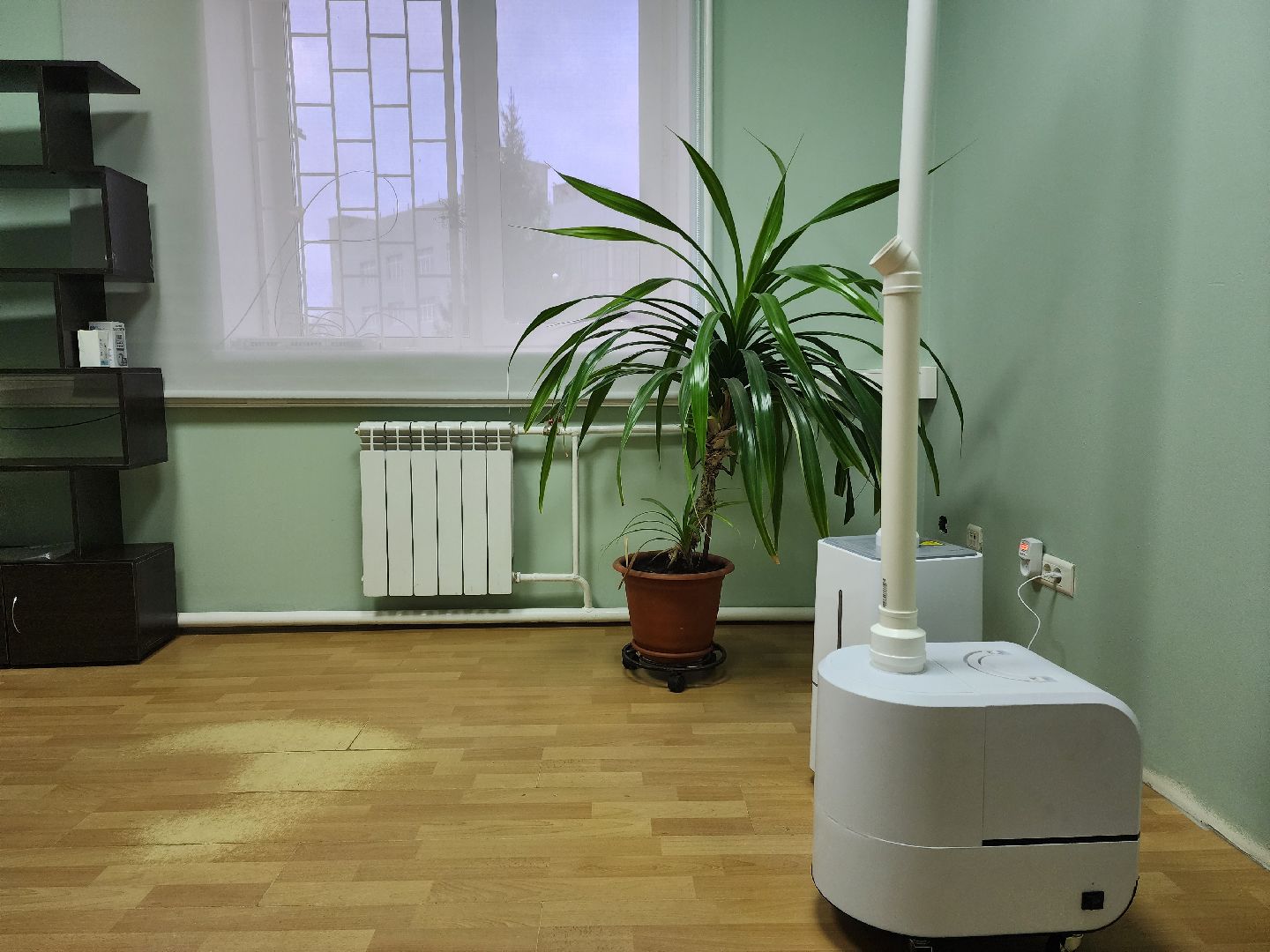 Компания
