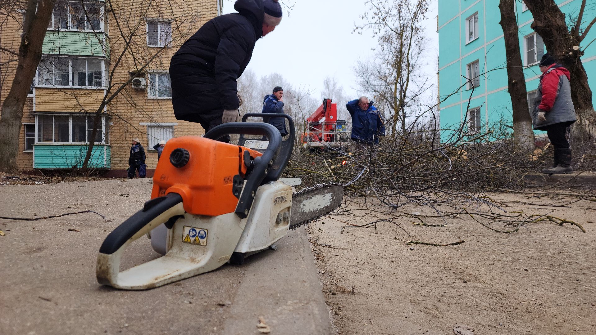 Вырубка деревьев