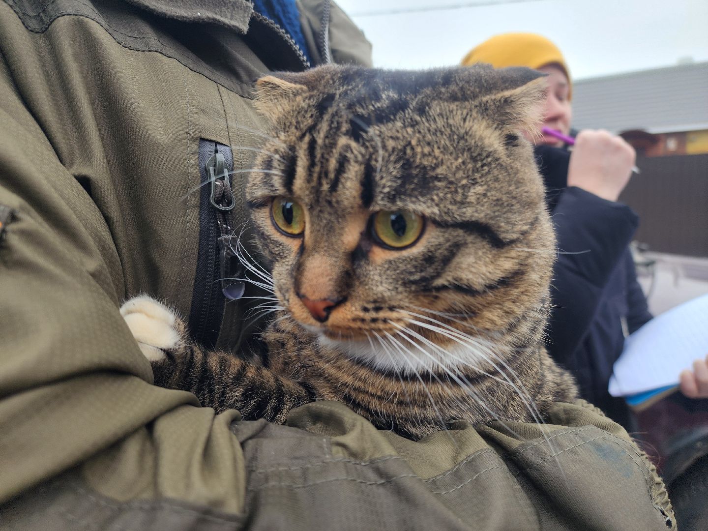 ВЕРТИКАЛКи