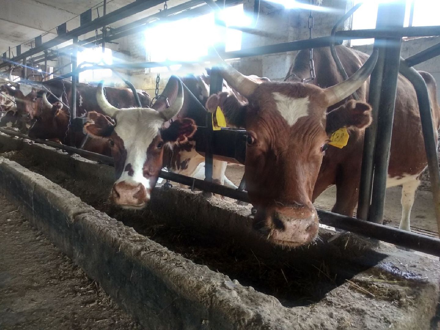 минсельхоз МО