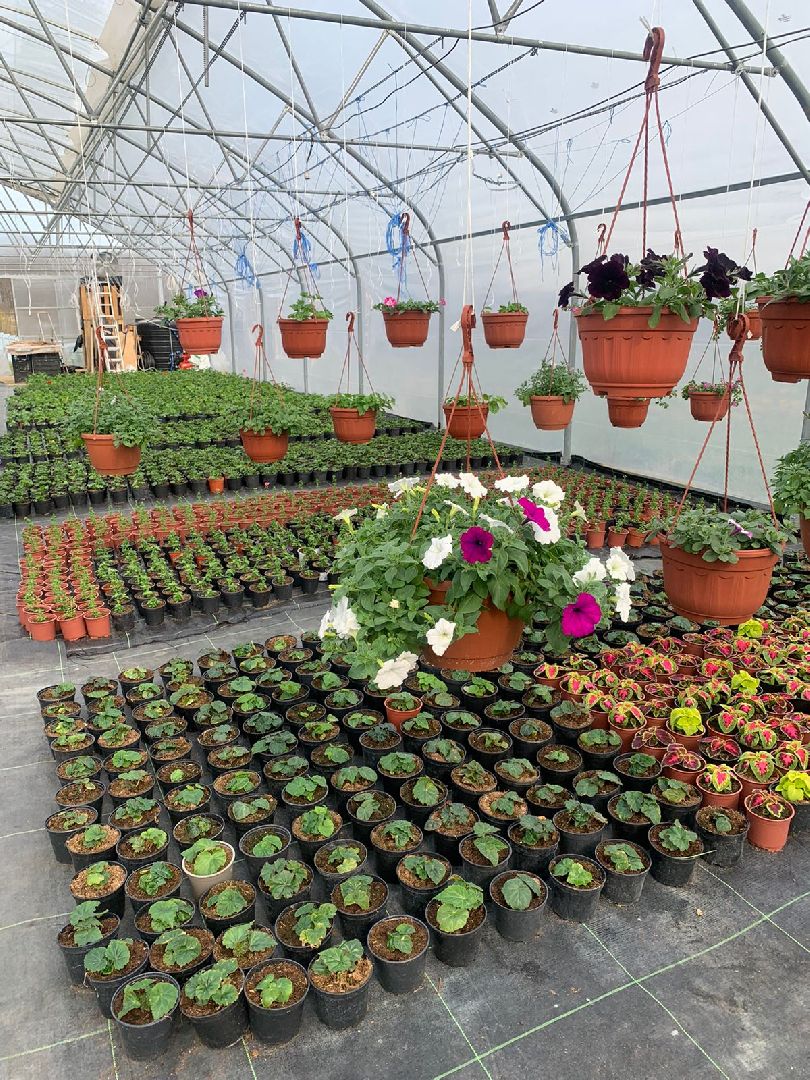 Звенигород