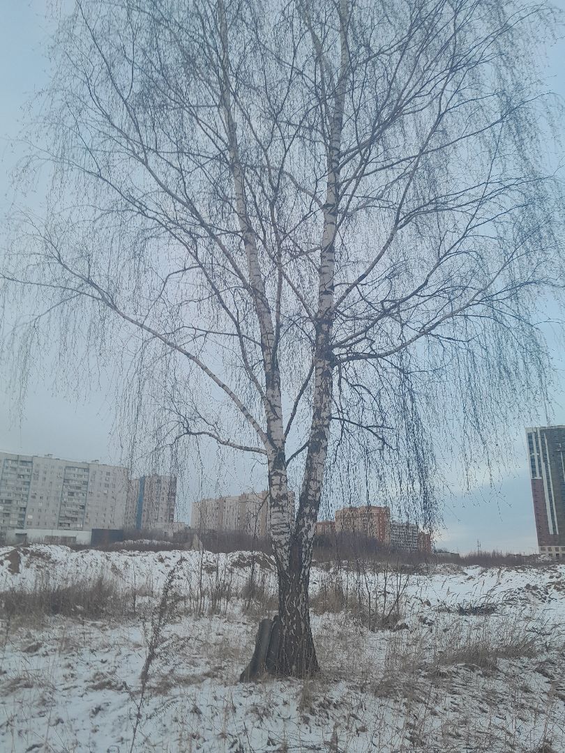 ЕР