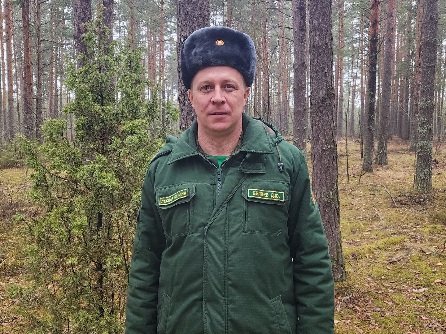 лесник