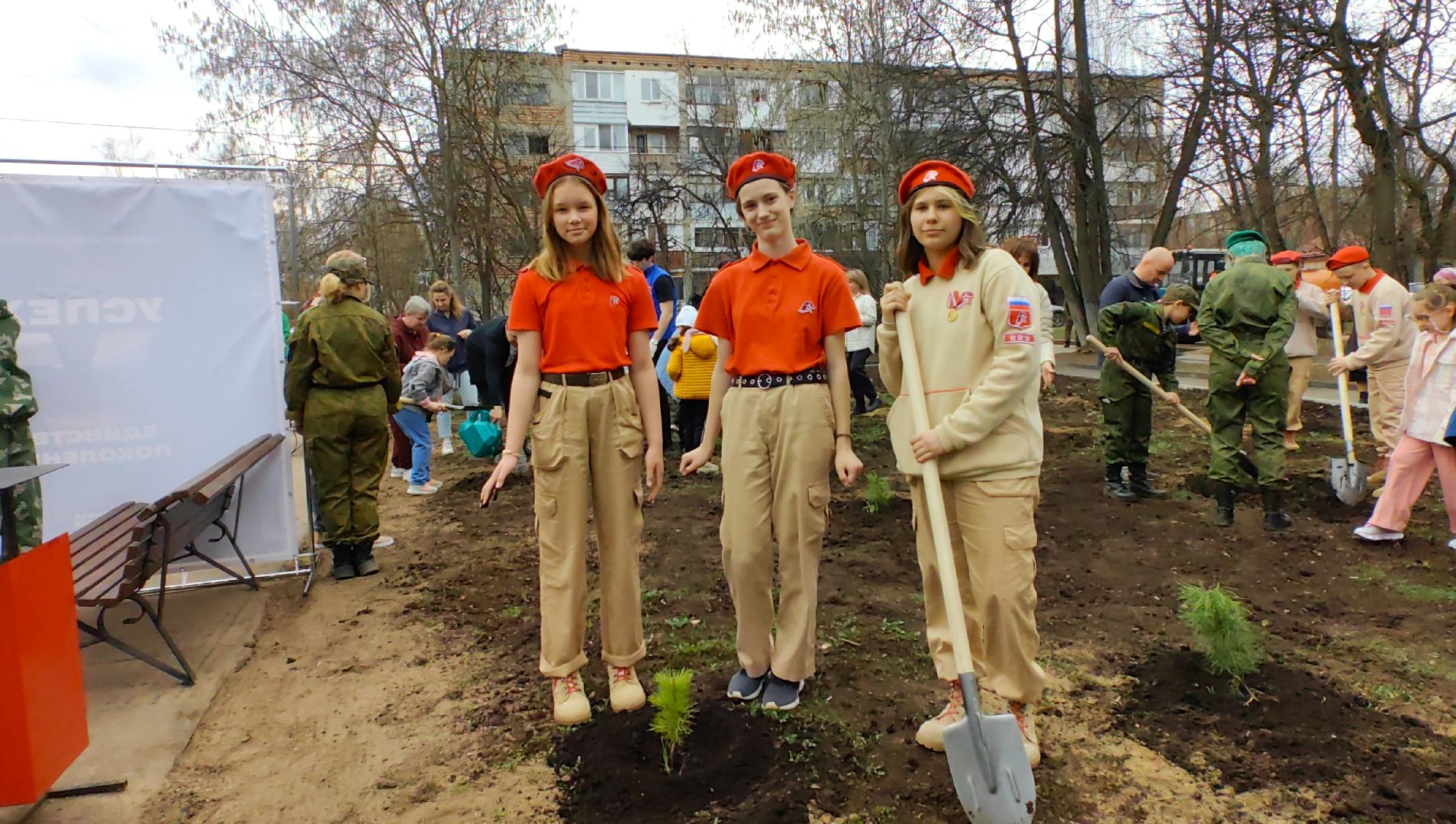 кедр