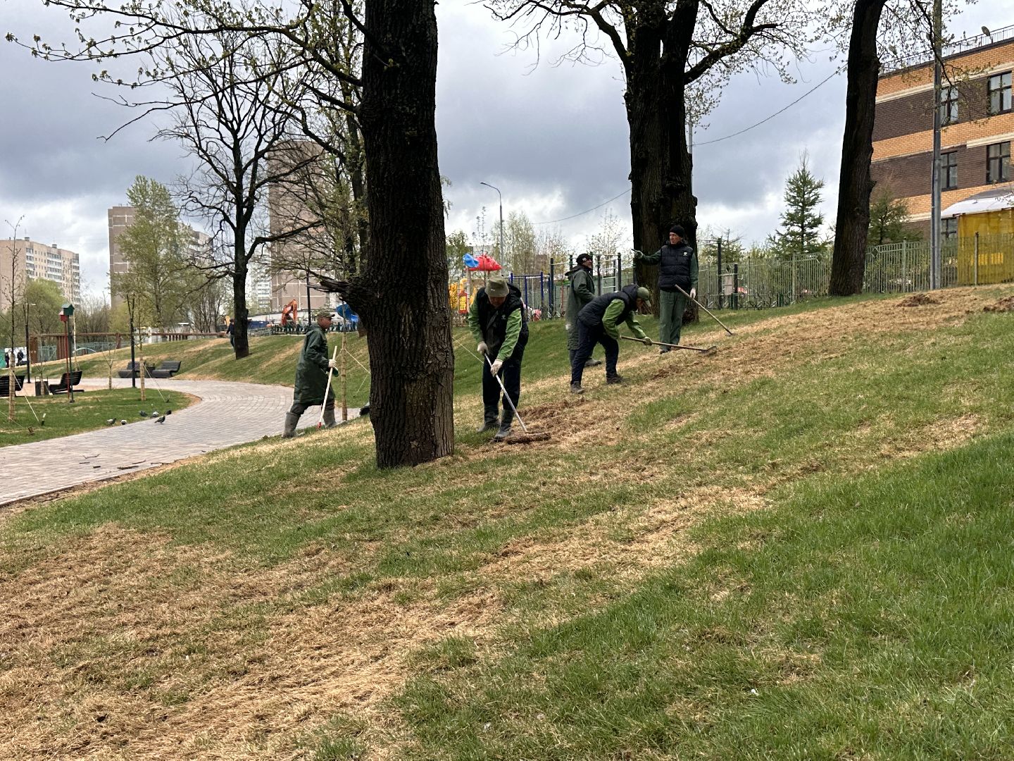 подмосковья