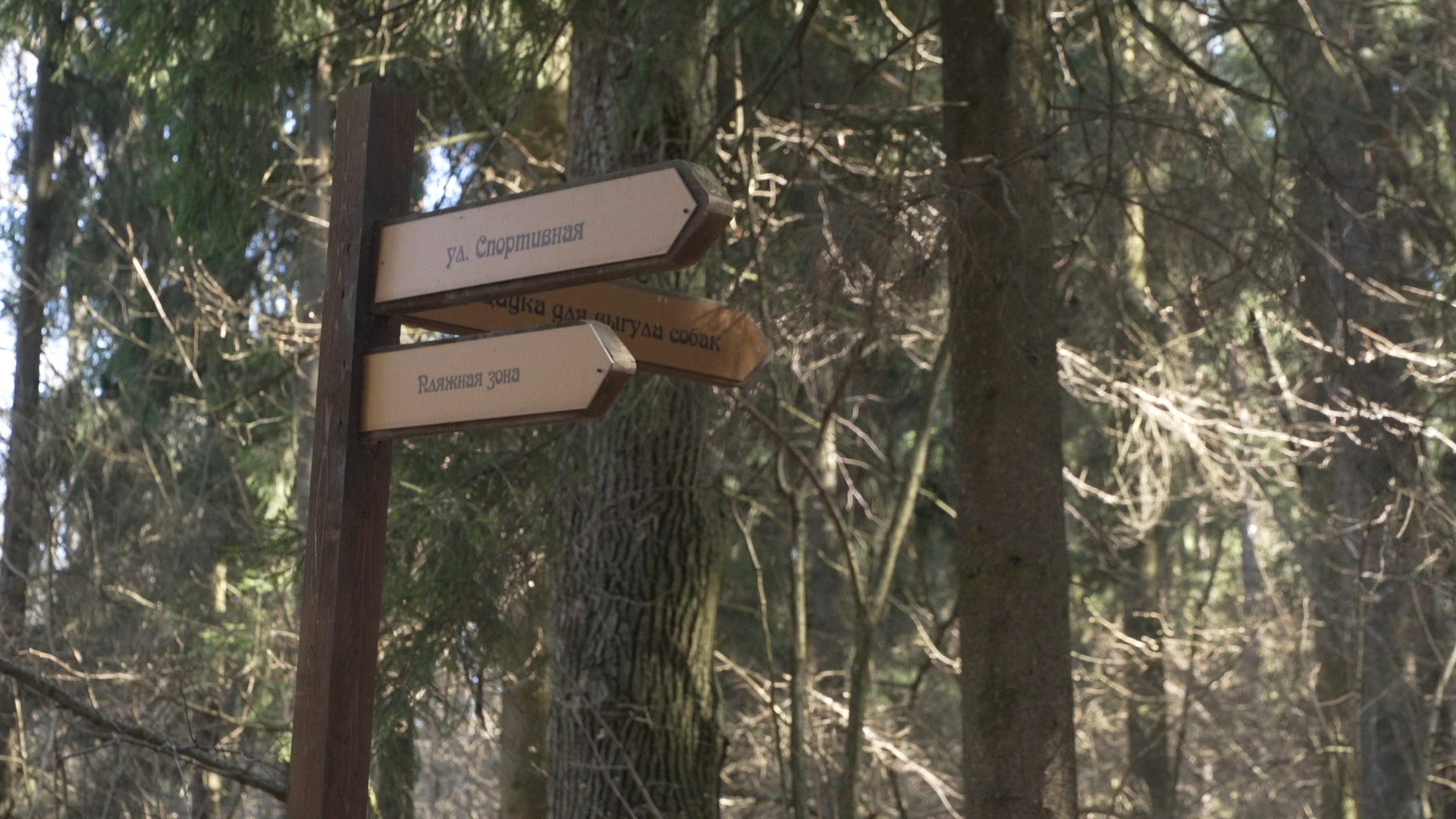 Прогулочная зона