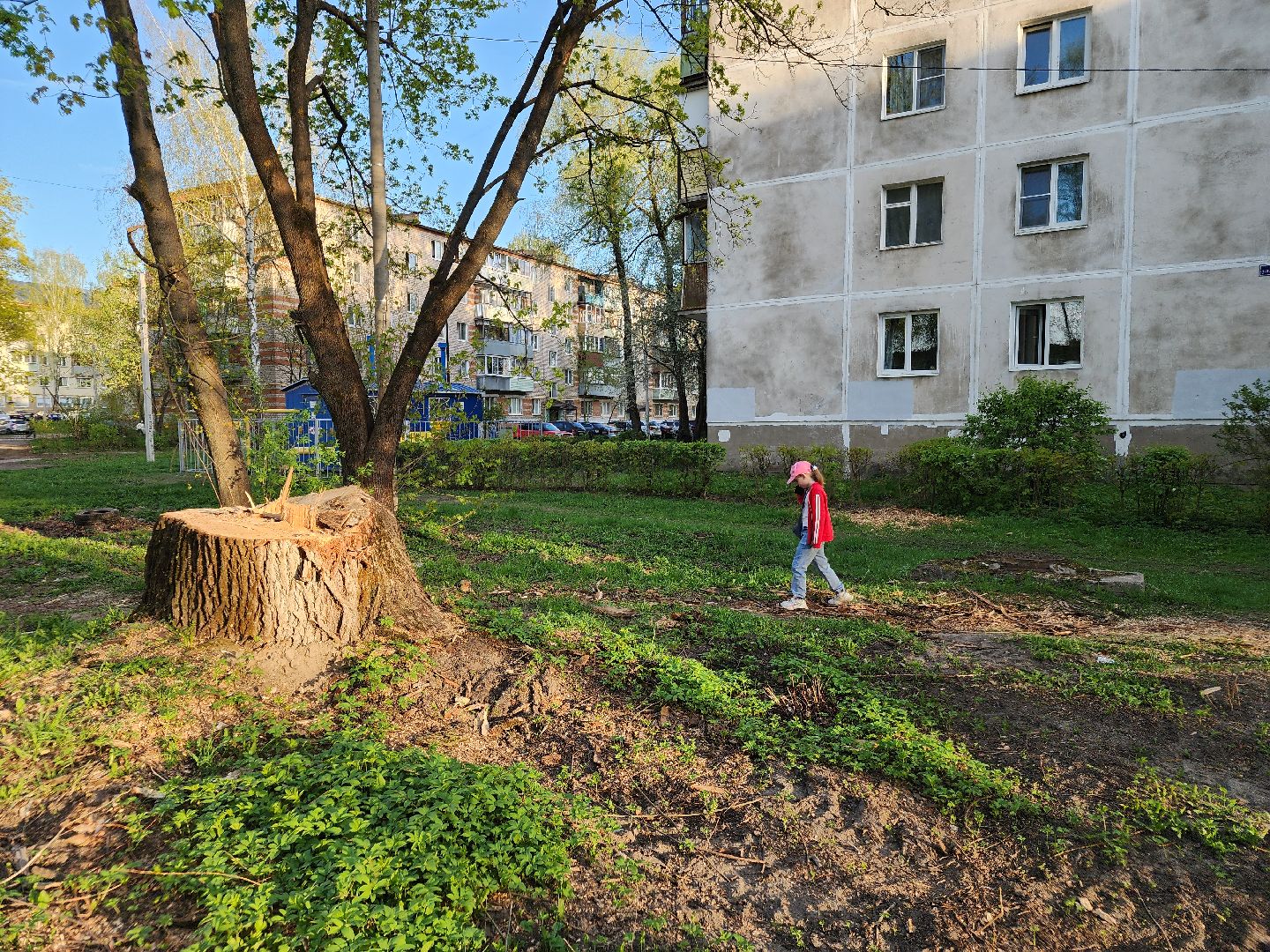 Благоустройство