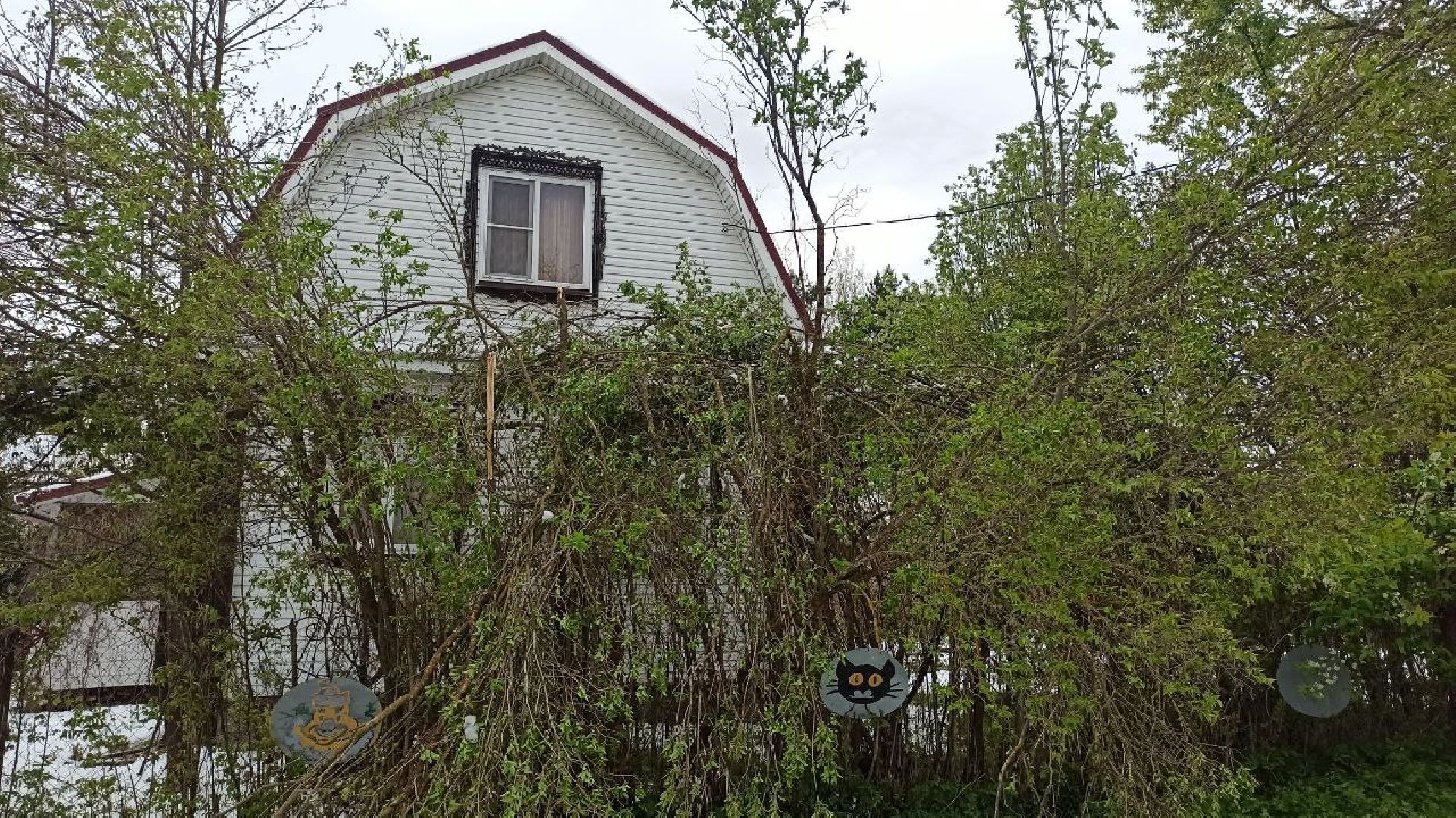 деревня дубки