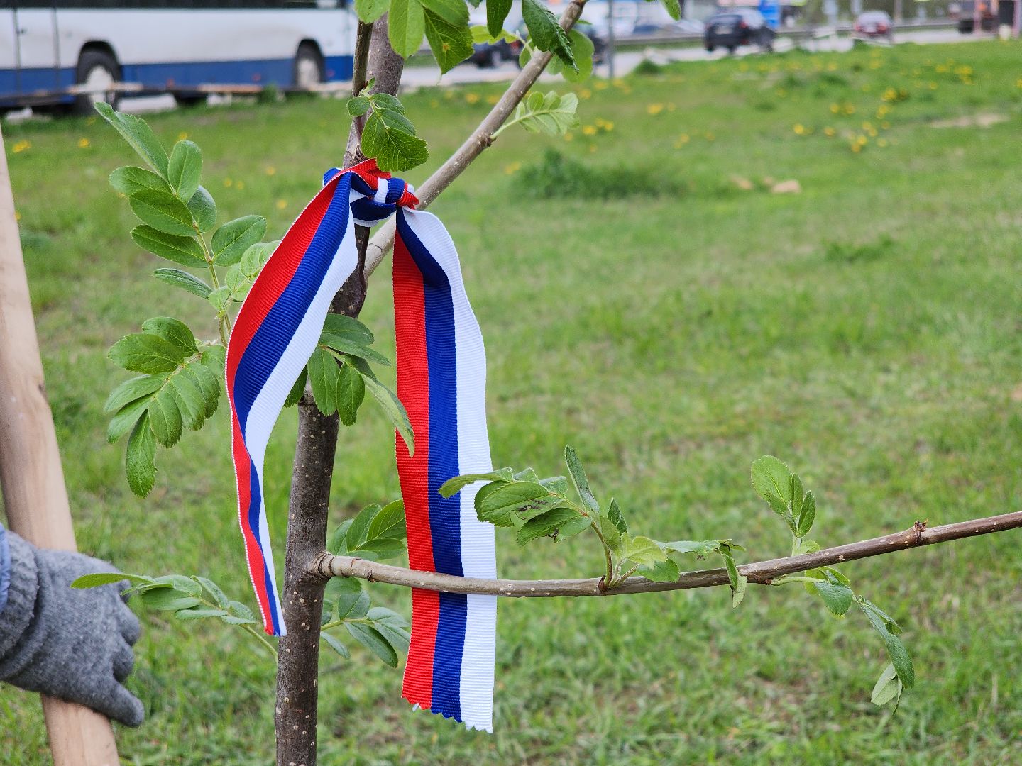 Сад Победы