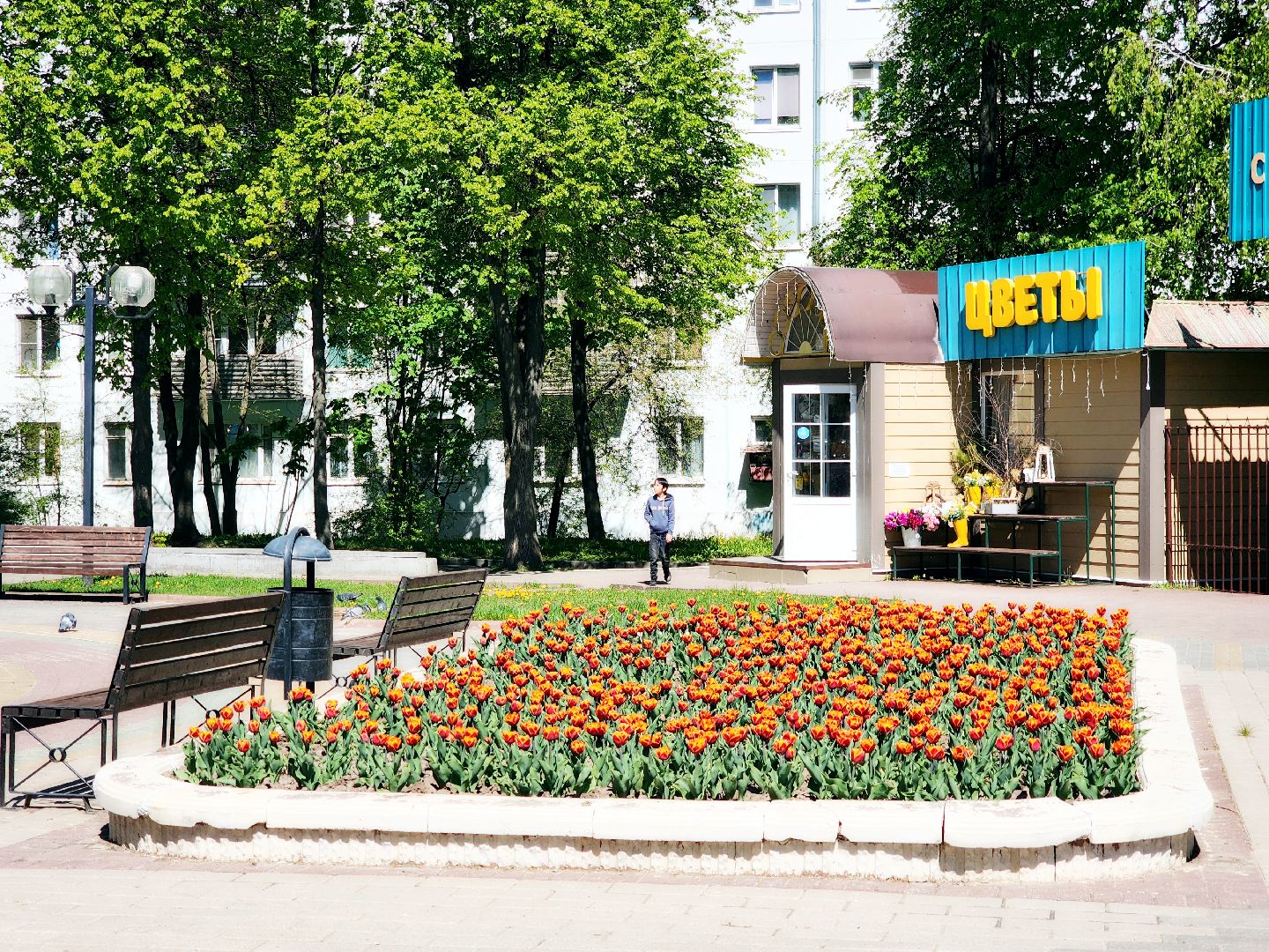 Благоустройства