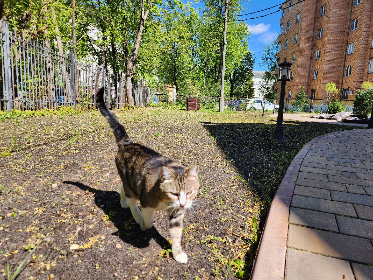 Фрязино