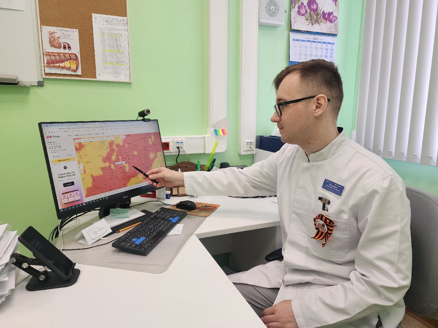 пыльца березы