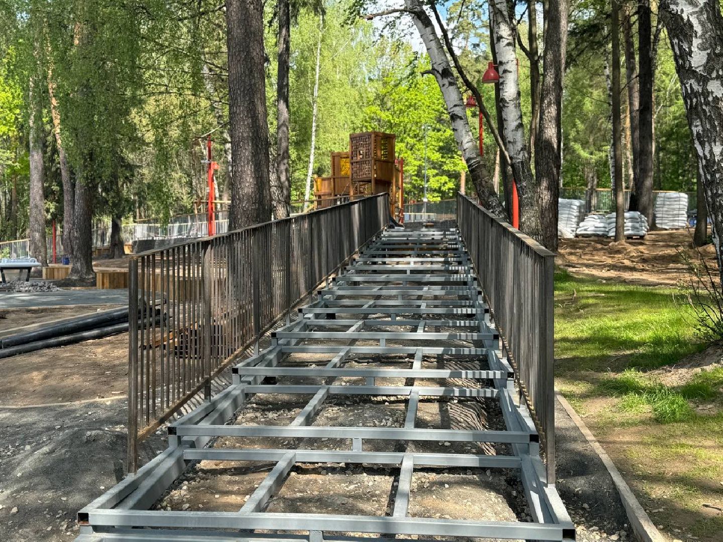 кучинский лесопарк