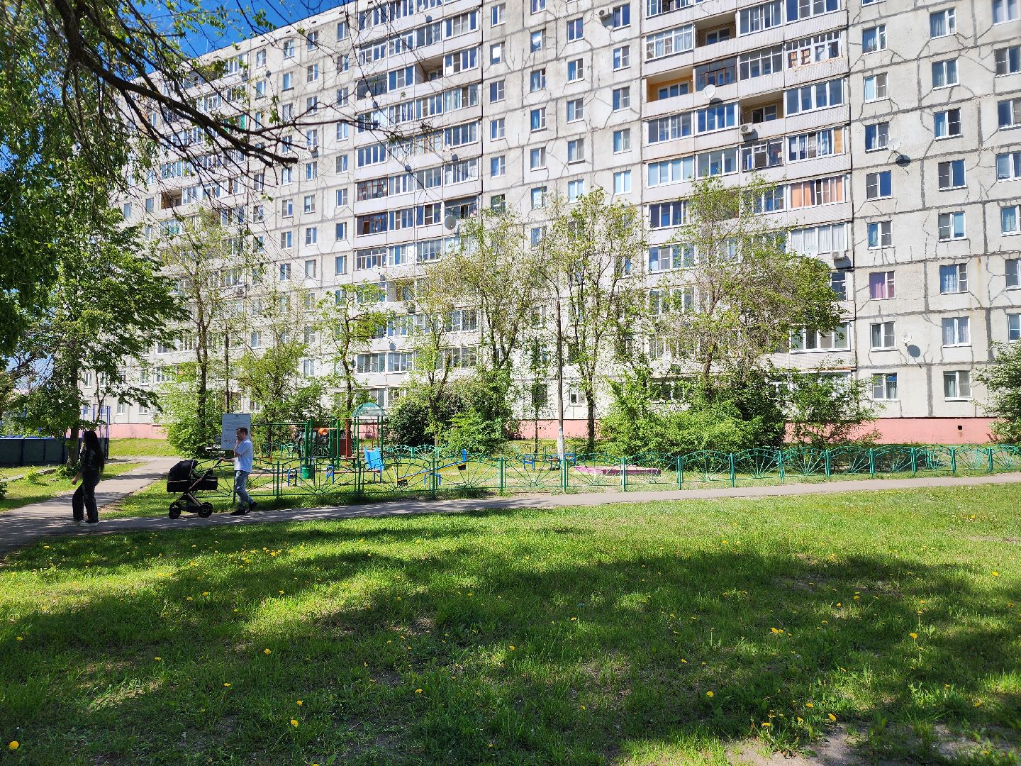 Общество