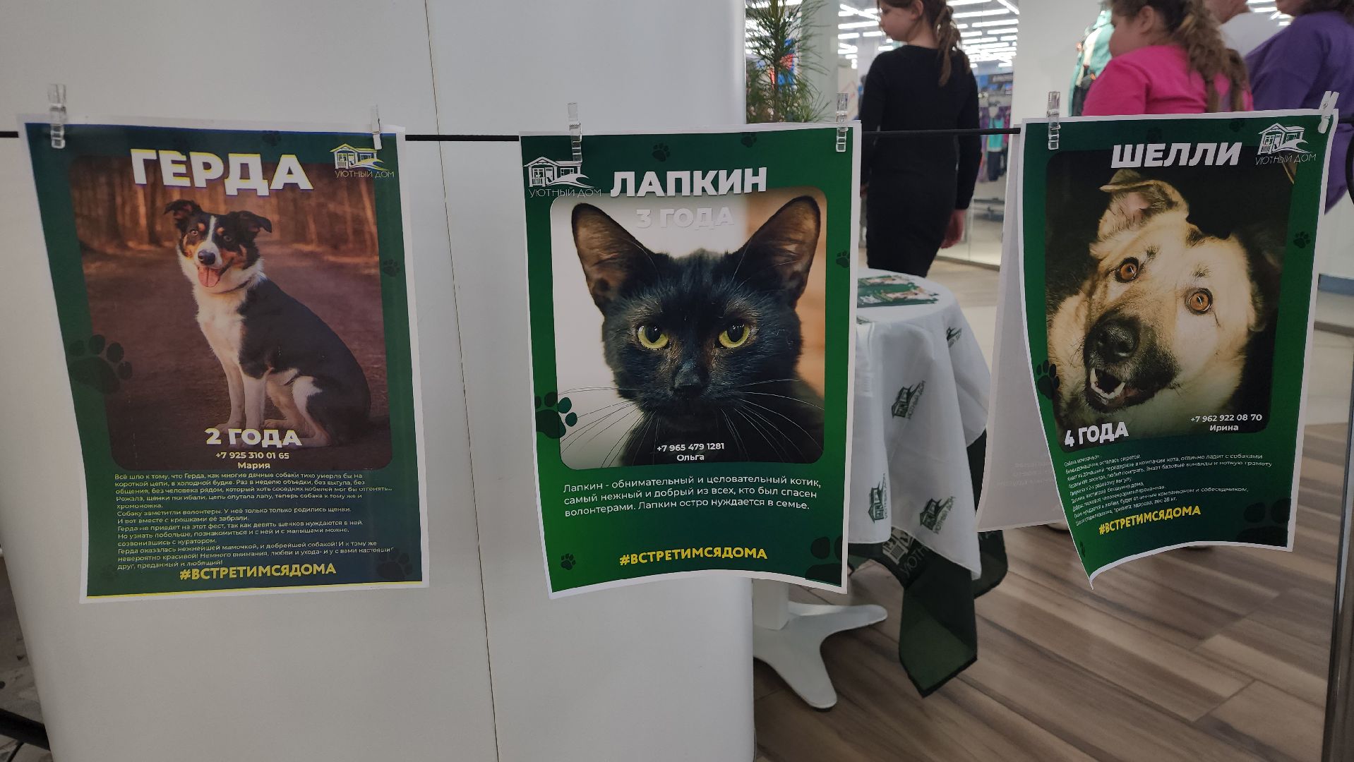 кино