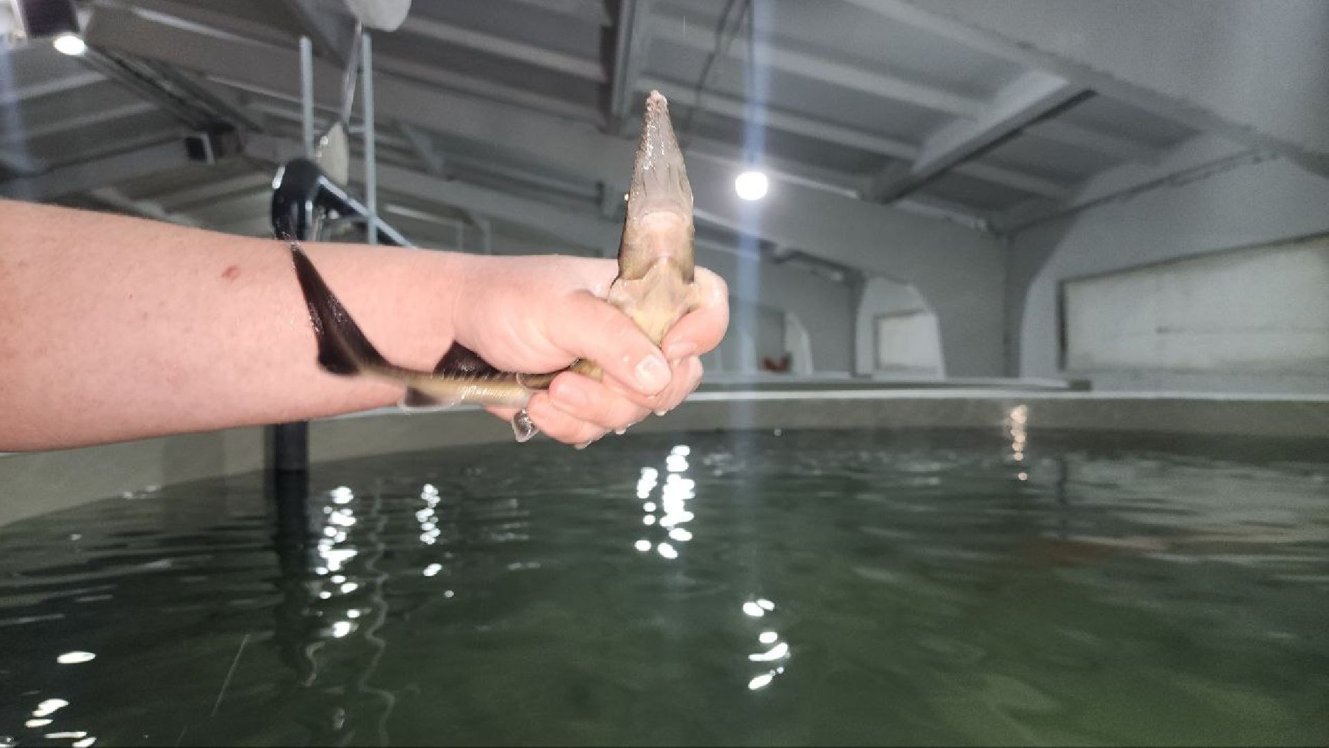 сельскоехозяйствоподмосковья