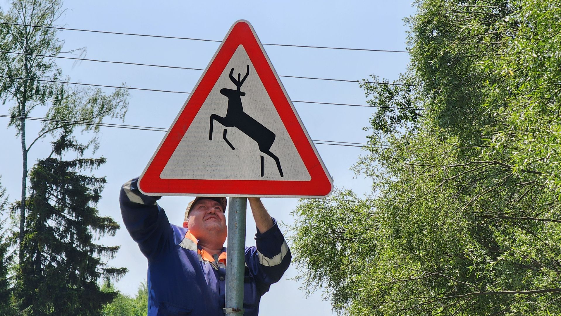Снос