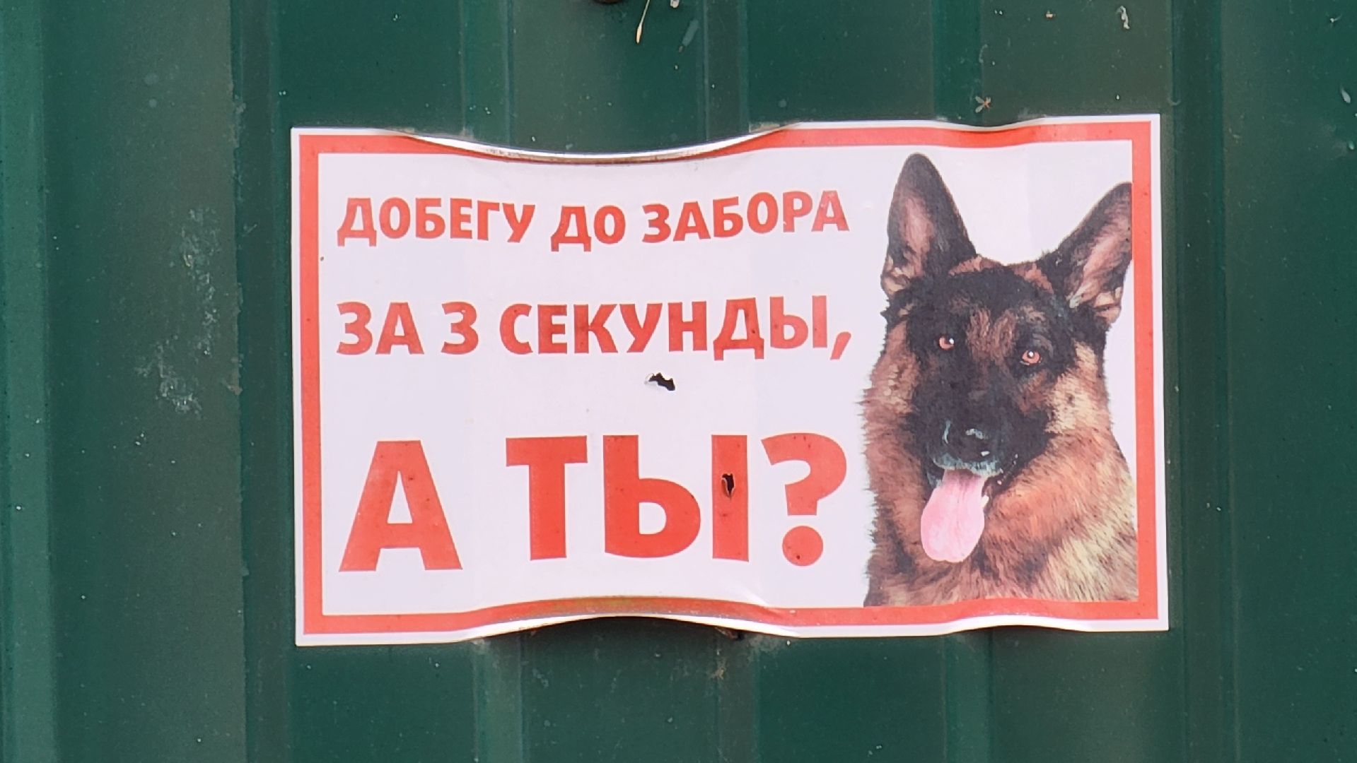 алабушево