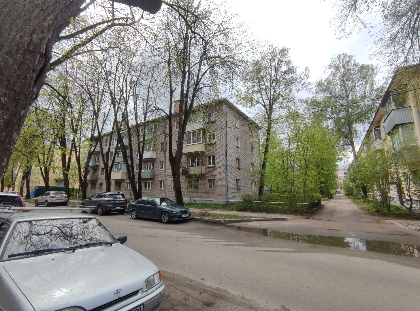 дуб