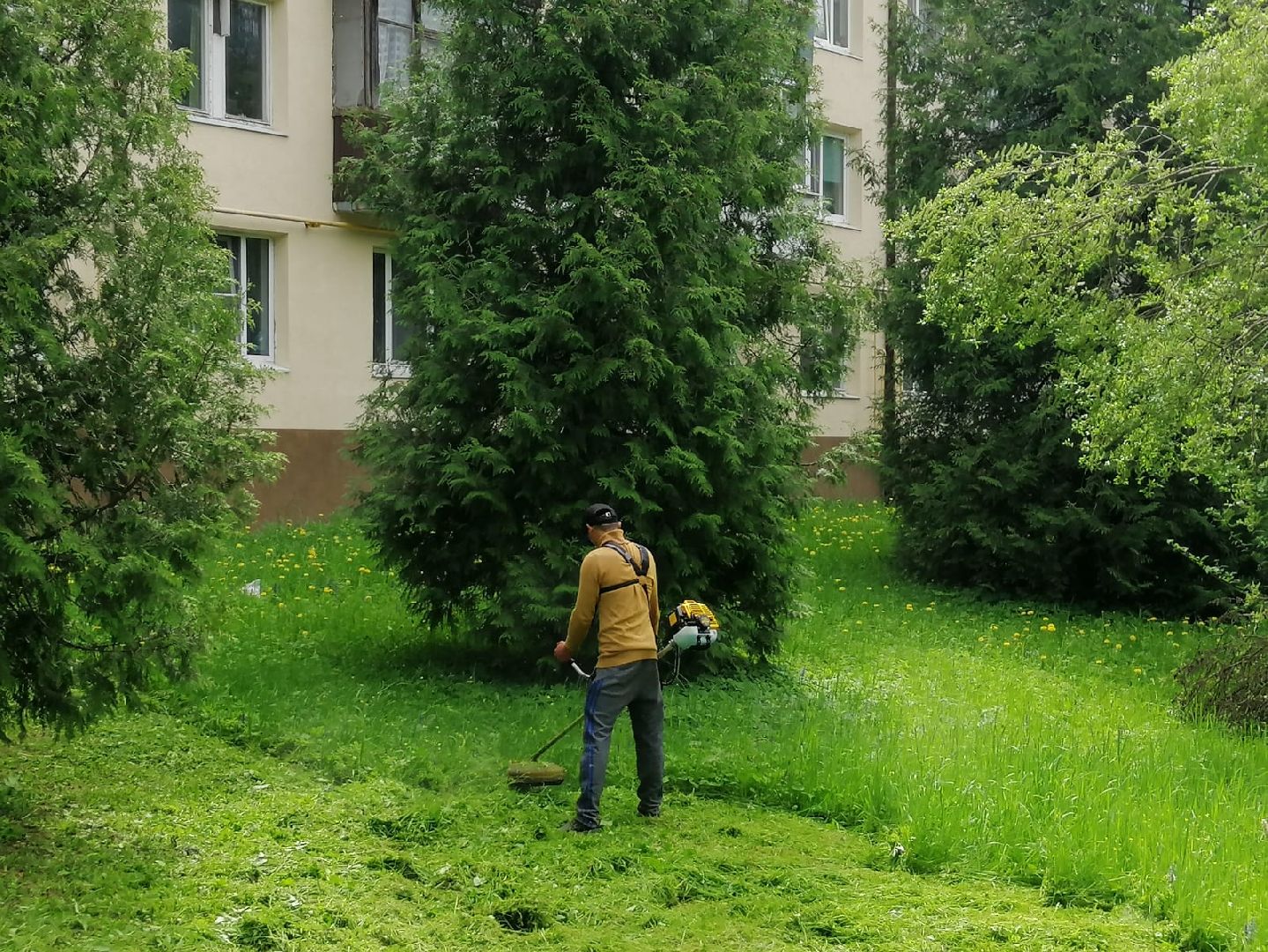 лагоустройство