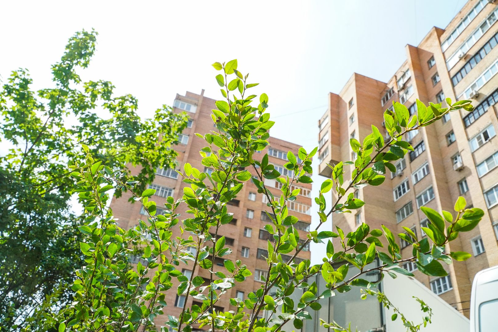 Благоустройство