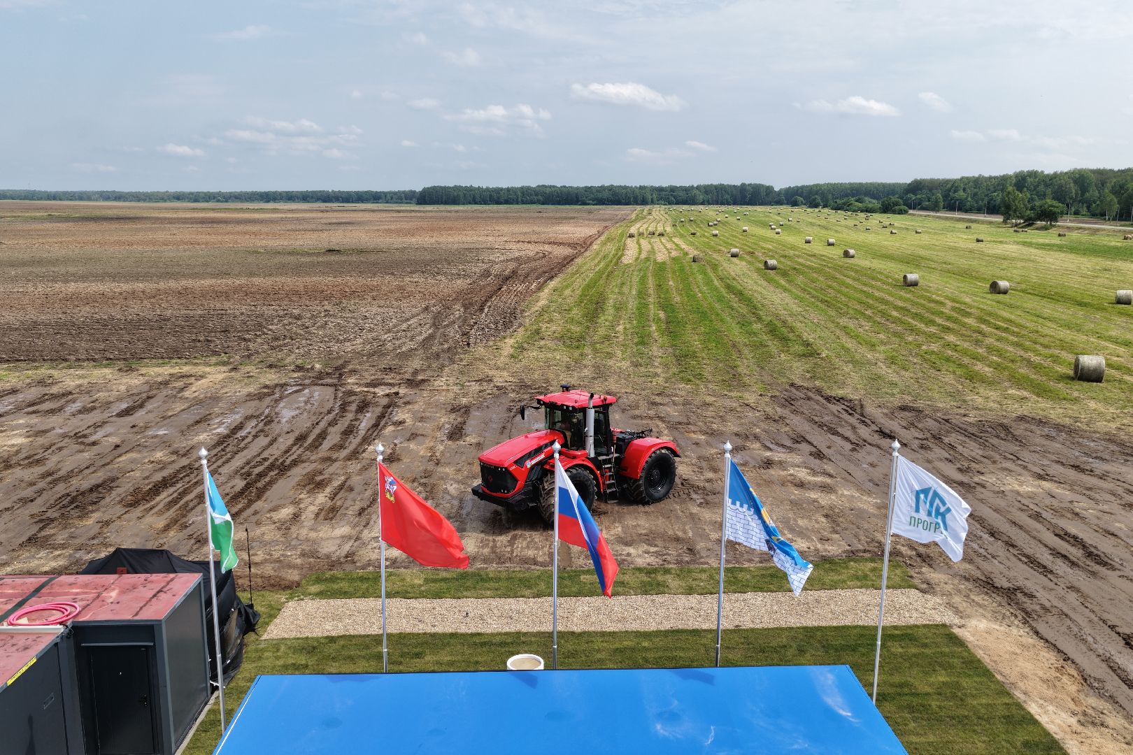 животноводство