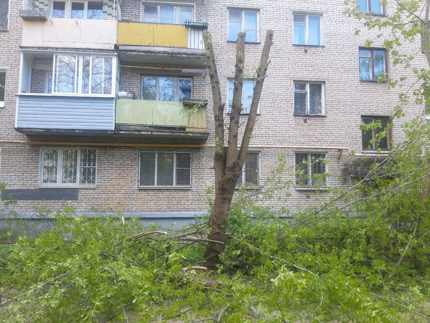 дело