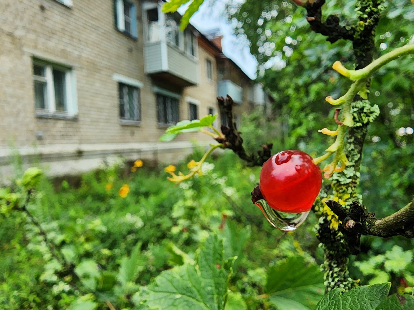 Благоустро