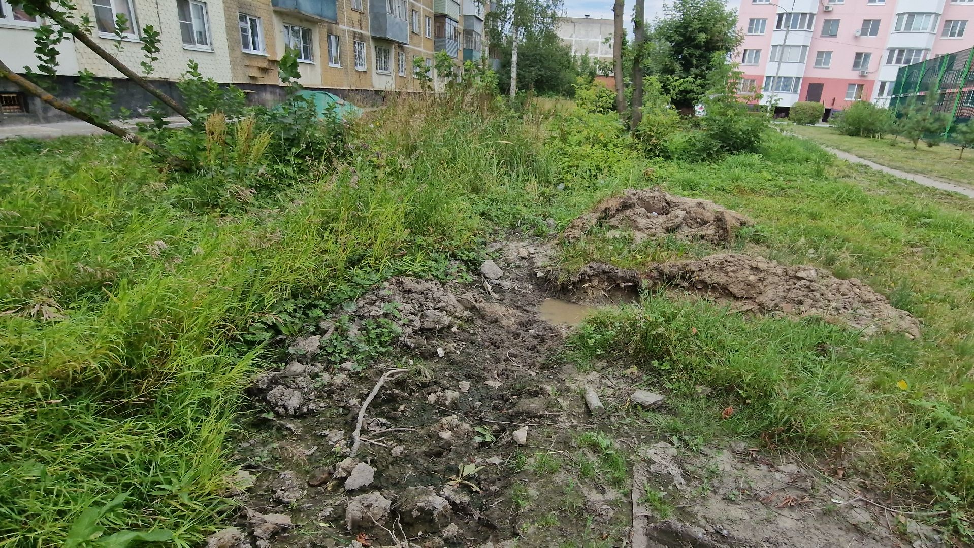 школа 18