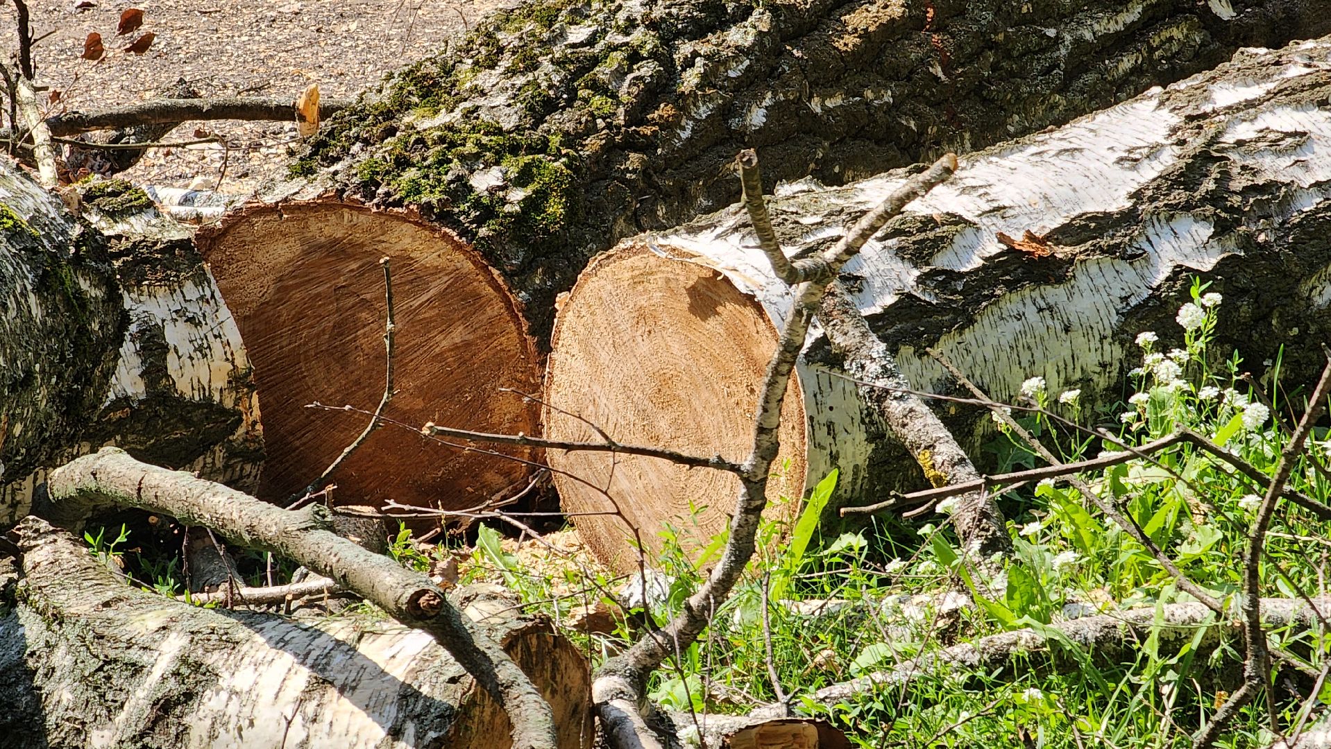 Благоустройство