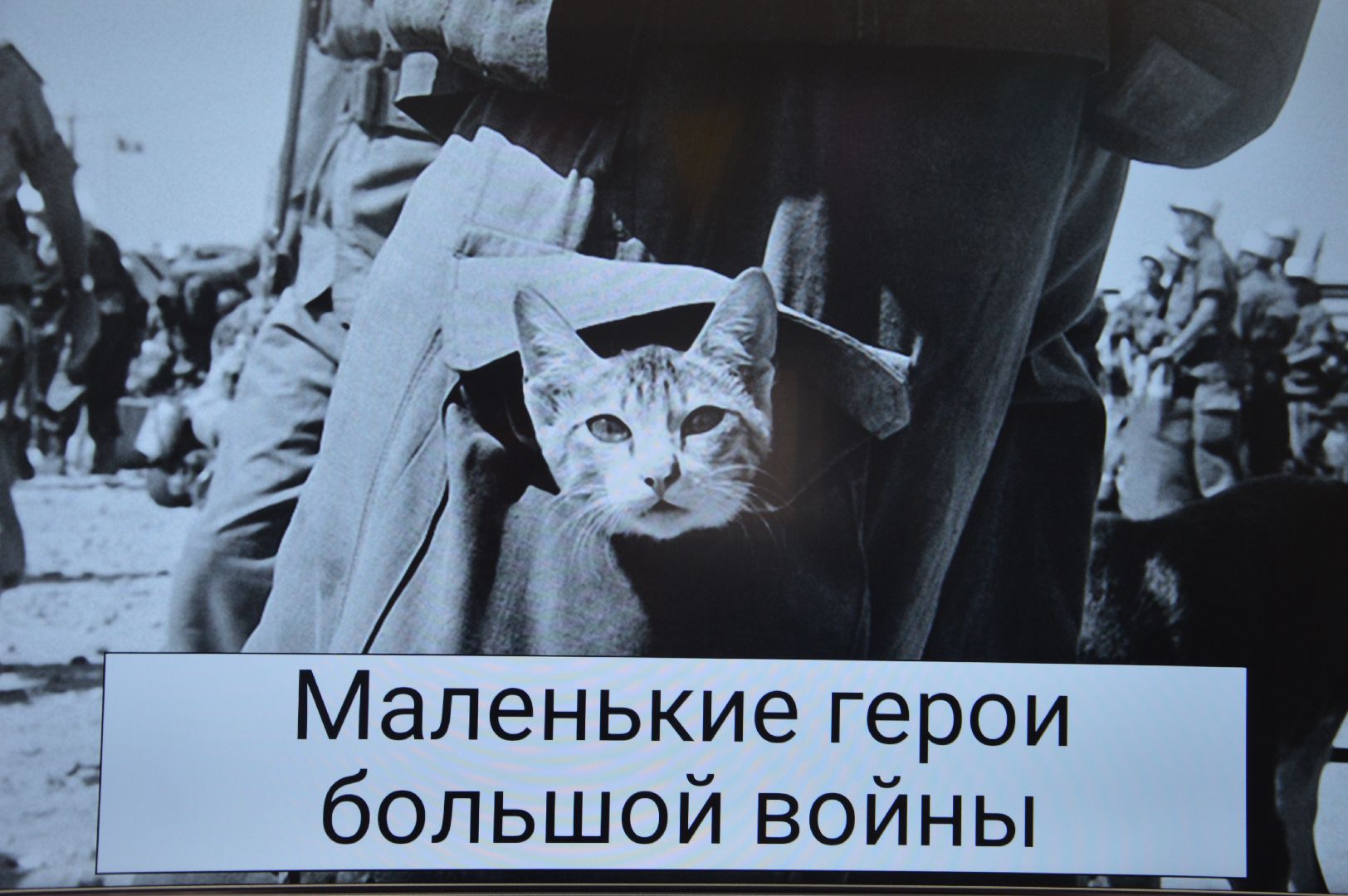 шатура