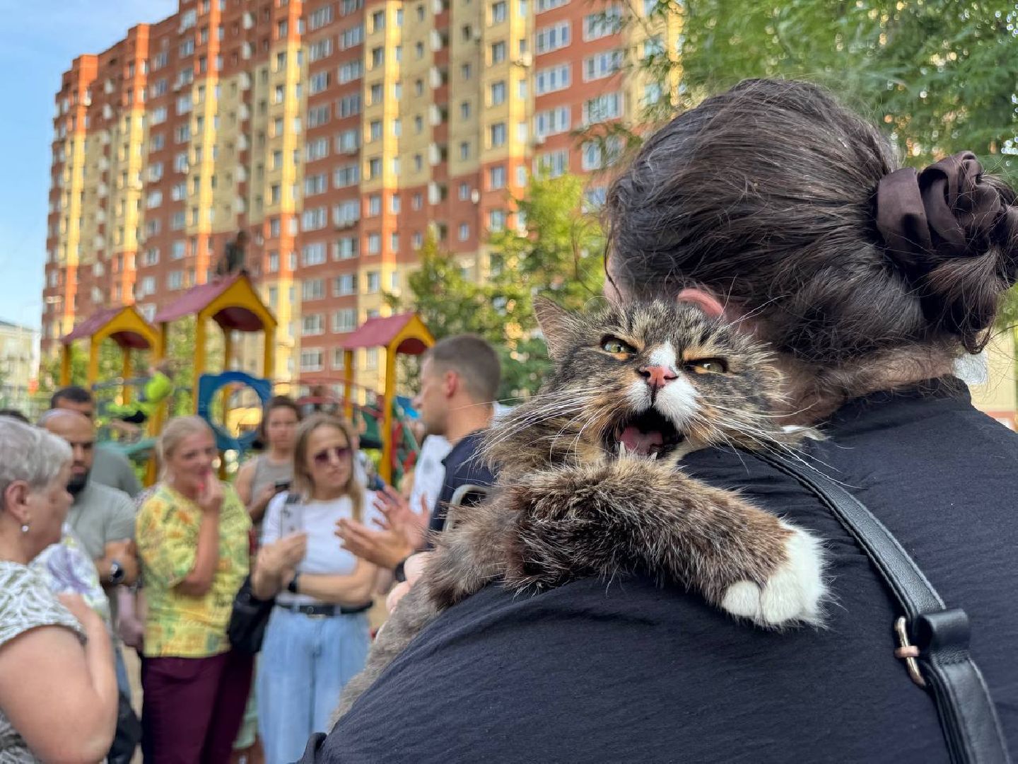 Чп