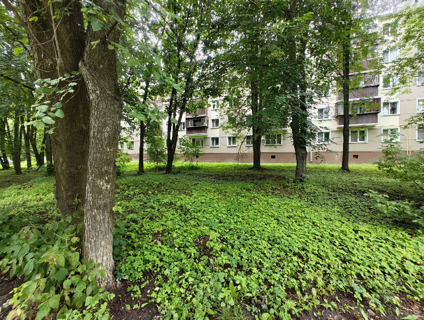 Лыткарино